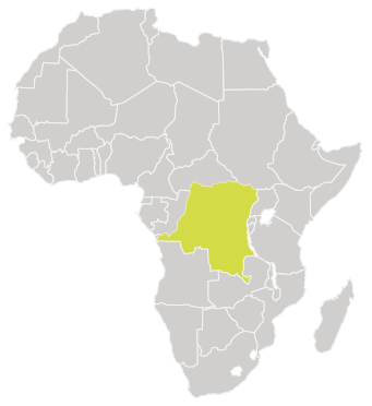 SFVS-Democratic-Republic-of-Congo